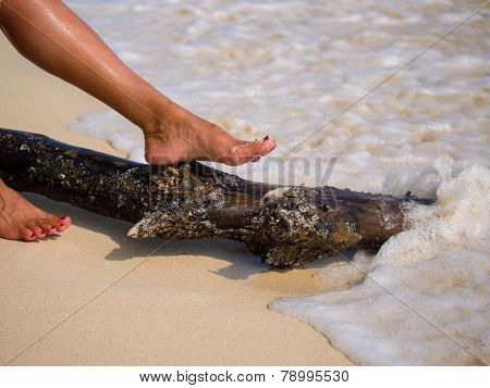 Woman feet on the sandy beach