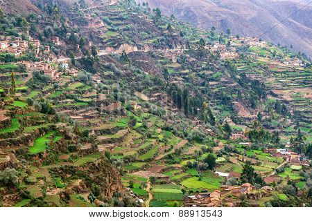 Farming Terraces In Peru