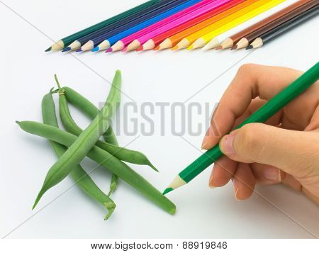 Drawing Green Beans
