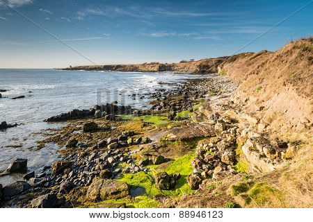 Howick Coastline