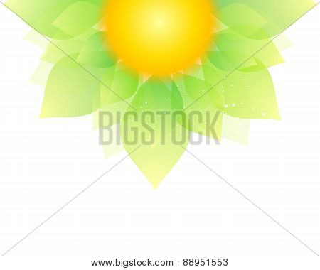 Flower In Green And Yellow