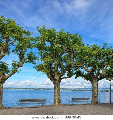 View On The Lake Zug