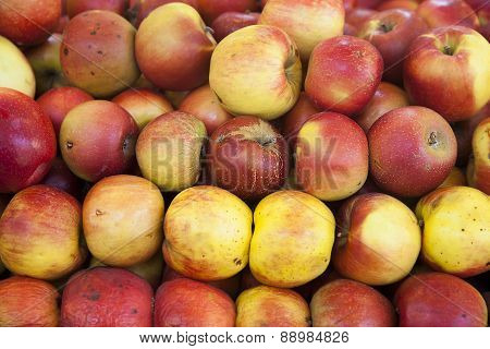 Real Organic Apples In Pile At Market Stall