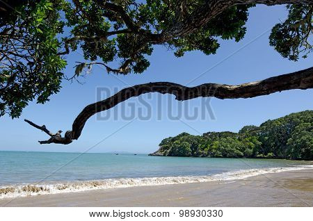 Doubtless Bay Northland New Zealand