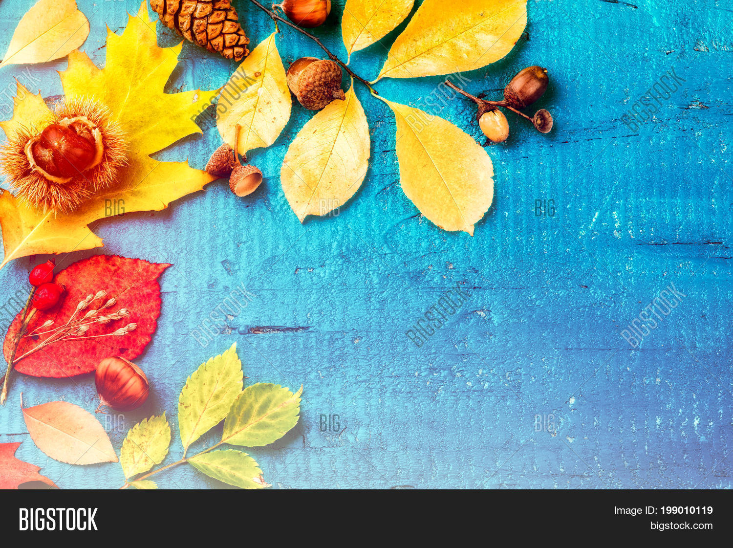 Image Preview