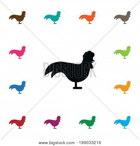 Chicken Vector Element Can Be Used For Chicken, Rooster, Cock Design Concept.  Isolated Bantam Icon.