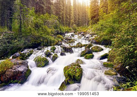 Beautiful Landscape Of Mountain River