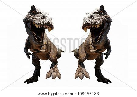 Isolated Dinosaur toy models on white background