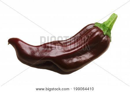 True Greek Pepperoncino Chile Pepper, Paths