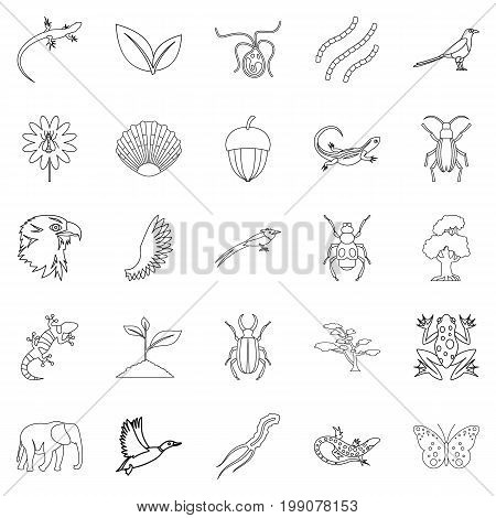 Avifauna icons set. Outline set of 25 avifauna vector icons for web isolated on white background