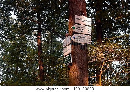 Dubicky Czech republic - July 08 2017: tourist signs on tree in Czech central mountains in sommer sunset