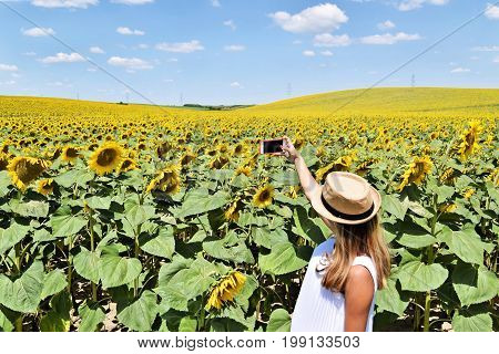Smiling girl taking selfie in a sunflower field