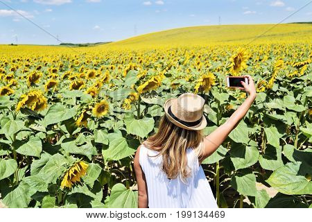 Smiling girl taking selfie in a sunflower field