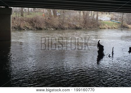 The Du Page River slows under the Jefferson Street Bridge near the Hammel Woods Forest Preserve in Shorewood, Illinois, during December.