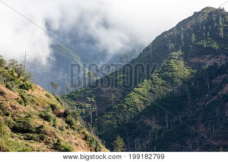 View to the south from the pass Boca da Encumeada in Madeira