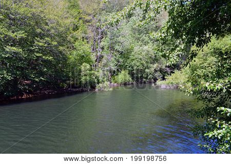 Marshes reservoirs and rivers in the mountains of The Montseny