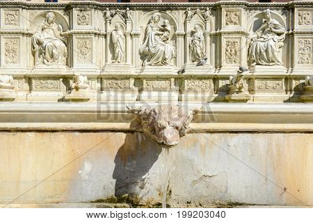 Gaia Fountain In Piazza Del Campo At Siena, Italy