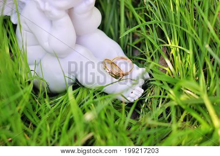 two golden wedding rings on nature background