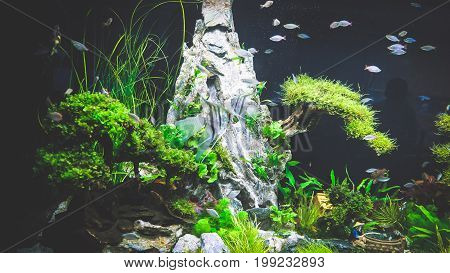 HO CHI MINH / VIETNAM, FEBRUARY 2017 - Large Fish Aquarium Tanks For Sale in Exhibition