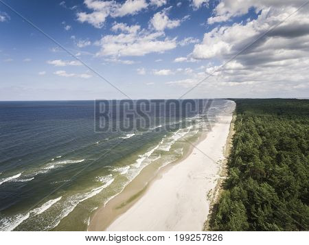 Aerial View Of Baltic Sea Shore And Forest Near Krynica Morska In Poland.