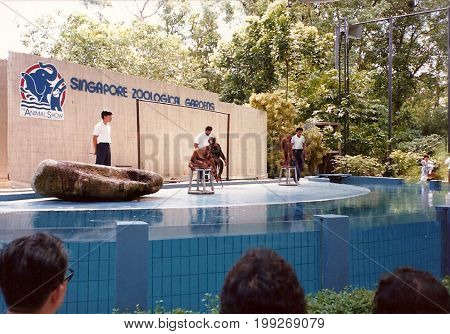 SINGAPORE - CIRCA 1990: The Animal Show at the Singapore Zoological Gardens features performances with orangutans and chimpanzees.