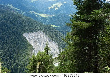 forest view from rockfall panoramic view at summertime