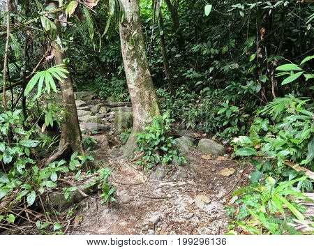 nature walkway in Khao Chamao , Rayong , Thailand