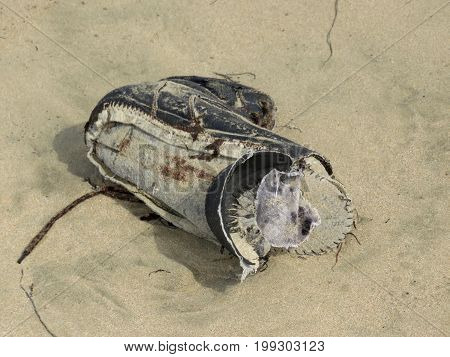 Sad Image of Poverty - Decaying shoe lost and washed up on beach.
