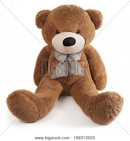 Big brown toy bear with bow isolated on white background