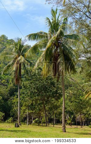 Khao Sam Roi Yot National Park In Kui Buri District, Prachuap Khiri Khan Province, Thailand