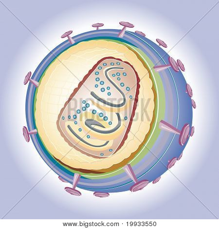 HIV - lékařské ilustrace vektorové ilustrace