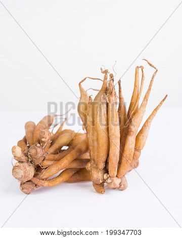 Finger Root Isolated On White Background,useful For  Thai Herbs,spices And Food Ingredient
