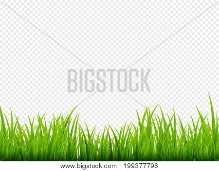 Green grass meadow border vector pattern. Spring or summer plant field lawn. Grass background.