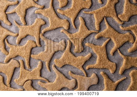 Making homemade dog treats in the shape of a bone.
