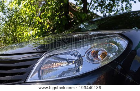 The headlight of a car standing under a tree