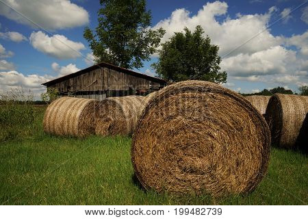 Big straw bales under blue sky in summer