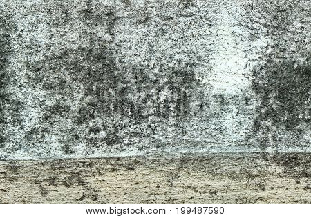 Background Pattern Horizontal Texture of Black Dirty Spots on White Grunge Wall with Copy Space for Text Decorated.