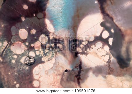 Abstract image of colorful dirty splash thought to appeared on window. Watercolor spatter of shading grey, blue and pink colors, dimout concept