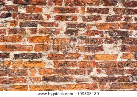 Old brick wall. Grunge background for interior design