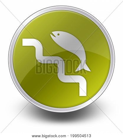 Icon Button Pictogram With Fish Ladder Symbol