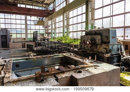 Abandoned and destroyed by war overgrown factory, abandoned industrial concept