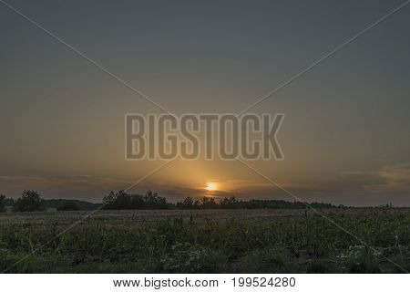 Sunset over trees near Lukov village in hot summer evening