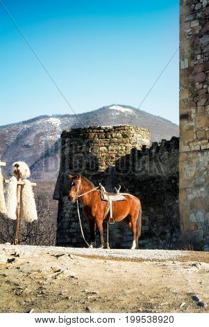 A Horse And Traditional Georgian Shepherd Clothes: Traditional Papakha Hat And Coat Of Sheep Fur, Wi