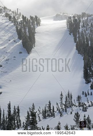 Fresh untouched powder on mountainside run of ski resort