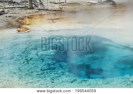 Fumarole by Fountain Paint Pots of Yellowstone National Park, Wyoming