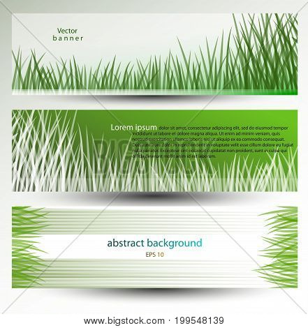 Vector abstract banner, header, background with grass