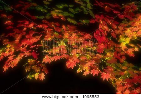 Autumn odchodzi