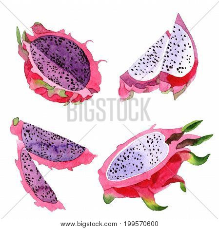 Exotic pitaya healthy food in a watercolor style isolated. Full name of the fruit: pitaya. Aquarelle wild frukt for background, texture, wrapper pattern or menu.