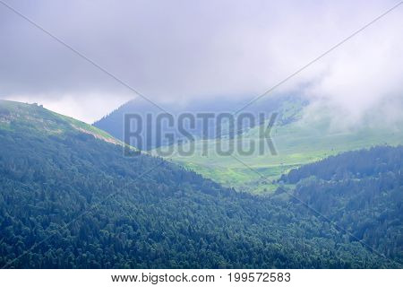 Landscape of subalpine mountain meadow and forest in Caucasus, Russia