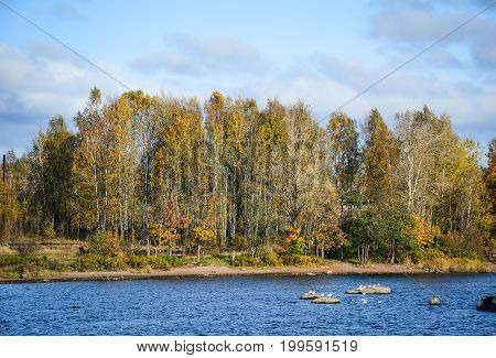 Autumn Scenery In Vyborg, Russia